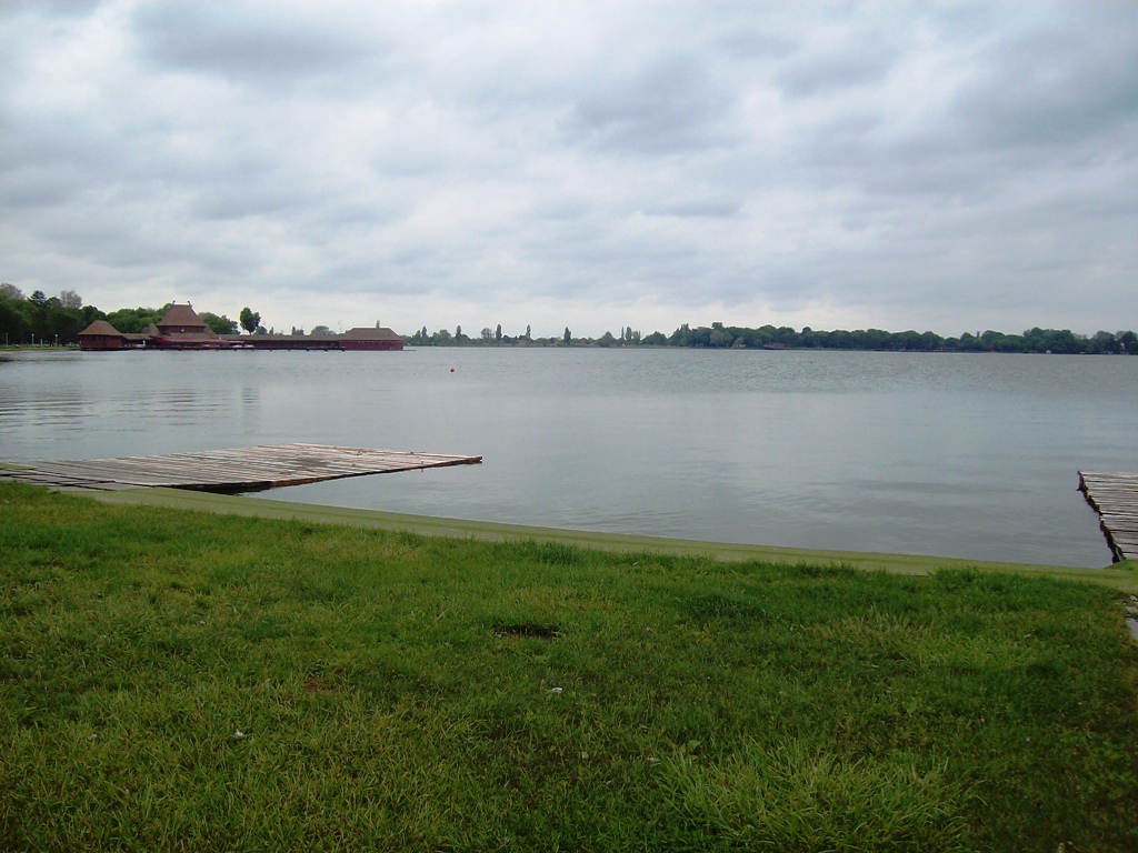 Palic